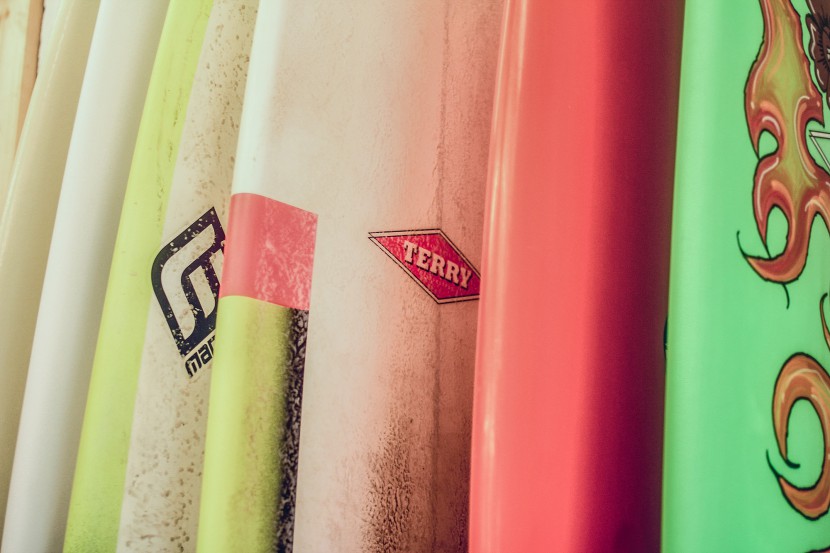 Terry Surfboards